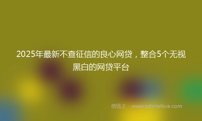 2025年最新不查征信的良心网贷，整合5个无视黑白的网贷平台