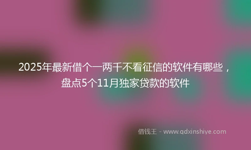 2025年最新借个一两千不看征信的软件有哪些，盘点5个11月独家贷款的软件