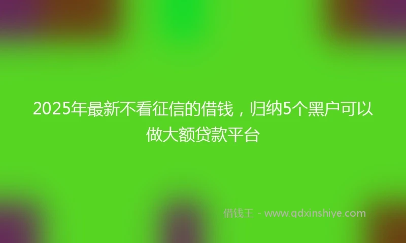 2025年最新不看征信的借钱，归纳5个黑户可以做大额贷款平台