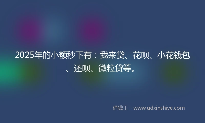 2025年的小额秒下有：我来贷、花呗、小花钱包、还呗、微粒贷等。