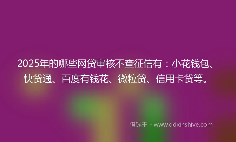 2025年的哪些网贷审核不查征信有：小花钱包、快贷通、百度有钱花、微粒贷、信用卡贷等。