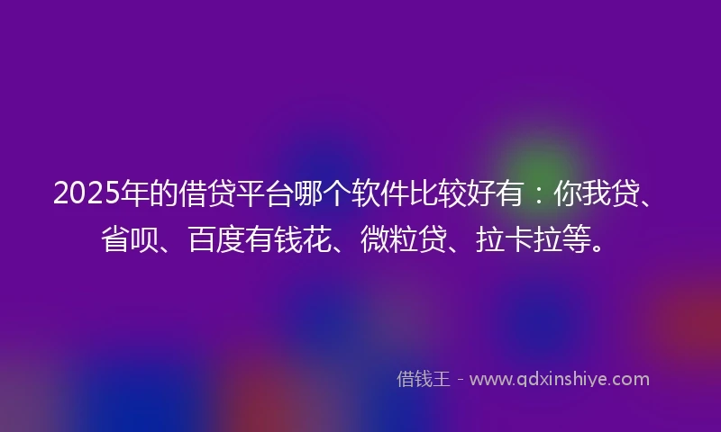 2025年的借贷平台哪个软件比较好有：你我贷、省呗、百度有钱花、微粒贷、拉卡拉等。