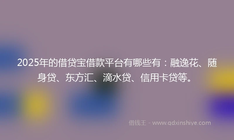 2025年的借贷宝借款平台有哪些有：融逸花、随身贷、东方汇、滴水贷、信用卡贷等。