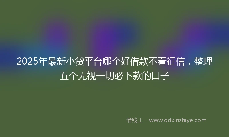 2025年最新小贷平台哪个好借款不看征信，整理五个无视一切必下款的口子