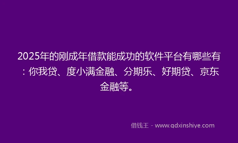 2025年的刚成年借款能成功的软件平台有哪些有：你我贷、度小满金融、分期乐、好期贷、京东金融等。