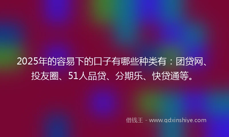 2025年的容易下的口子有哪些种类有：团贷网、投友圈、51人品贷、分期乐、快贷通等。