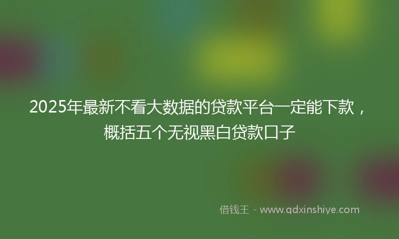 2025年最新不看大数据的贷款平台一定能下款，概括五个无视黑白贷款口子