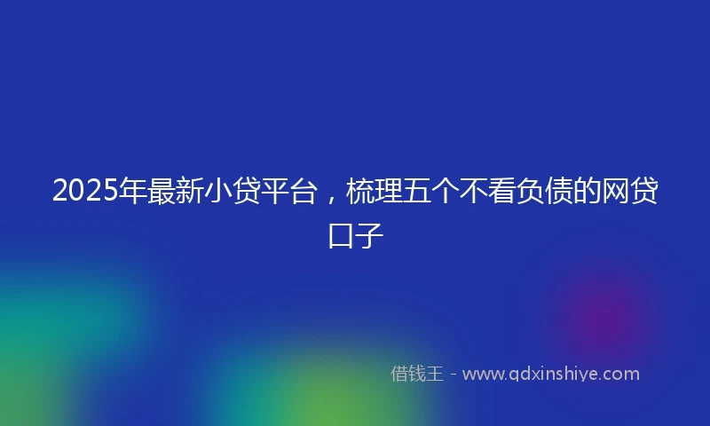 2025年最新小贷平台，梳理五个不看负债的网贷口子