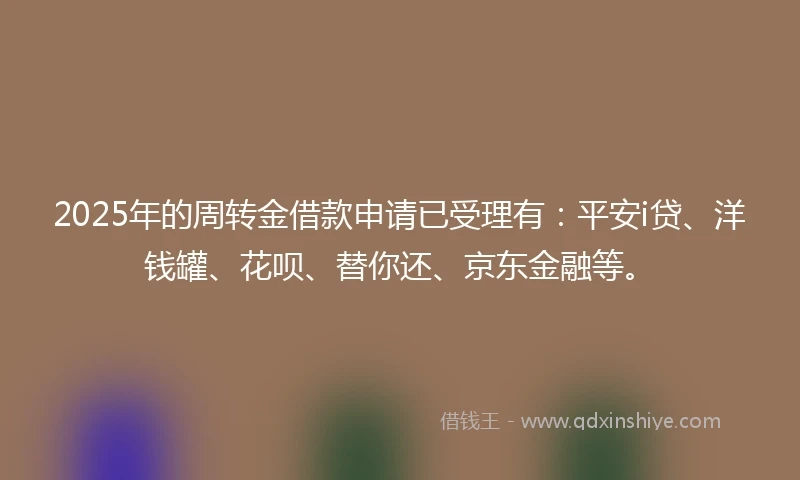 2025年的周转金借款申请已受理有：平安i贷、洋钱罐、花呗、替你还、京东金融等。