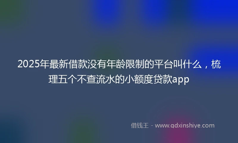 2025年最新借款没有年龄限制的平台叫什么，梳理五个不查流水的小额度贷款app