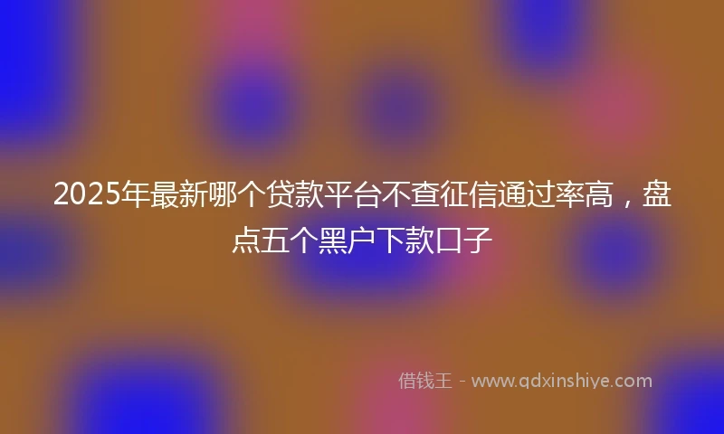2025年最新哪个贷款平台不查征信通过率高，盘点五个黑户下款口子