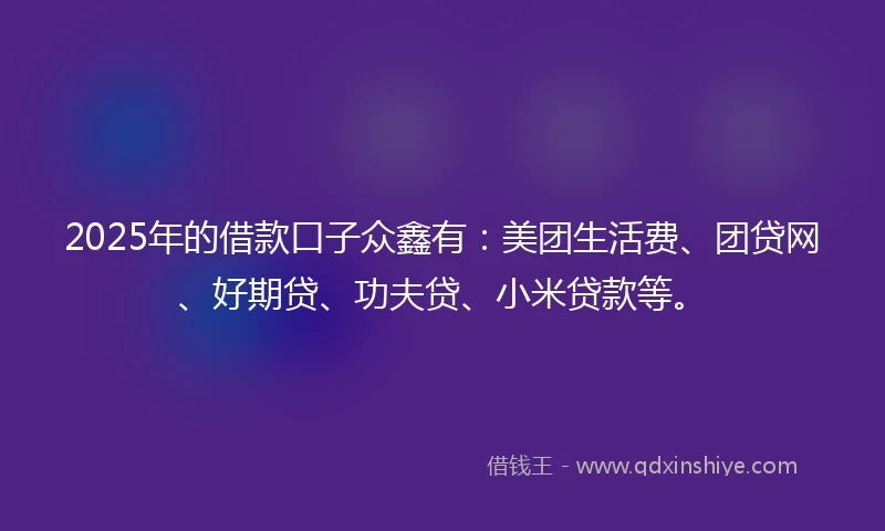 2025年的借款口子众鑫有：美团生活费、团贷网、好期贷、功夫贷、小米贷款等。
