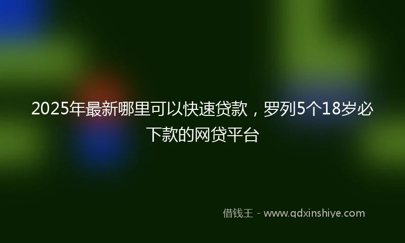 2025年最新哪里可以快速贷款，罗列5个18岁必下款的网贷平台