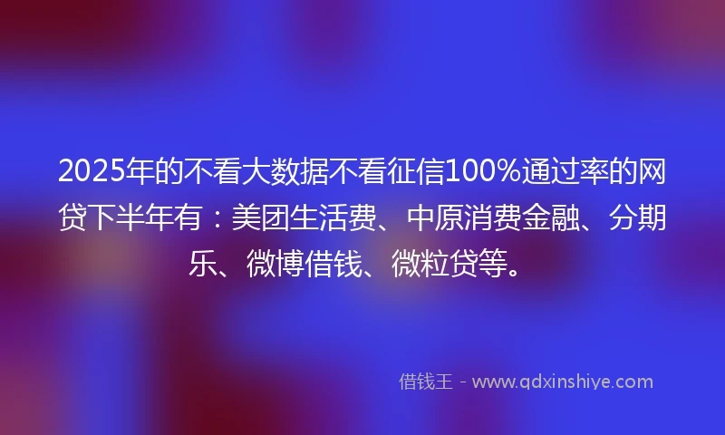 2025年的不看大数据不看征信100%通过率的网贷下半年有：美团生活费、中原消费金融、分期乐、微博借钱、微粒贷等。