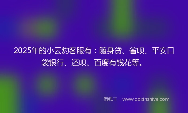 2025年的小云豹客服有：随身贷、省呗、平安口袋银行、还呗、百度有钱花等。