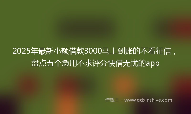 2025年最新小额借款3000马上到账的不看征信，盘点五个急用不求评分快借无忧的app