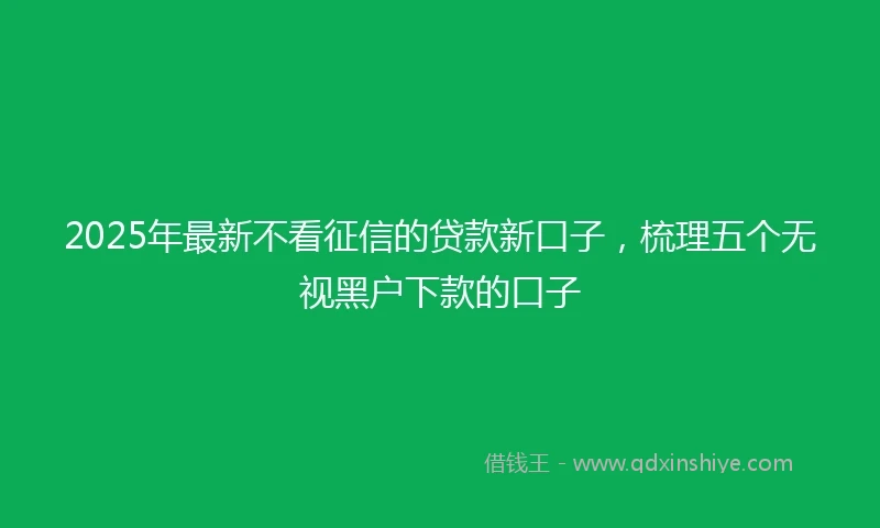 2025年最新不看征信的贷款新口子，梳理五个无视黑户下款的口子
