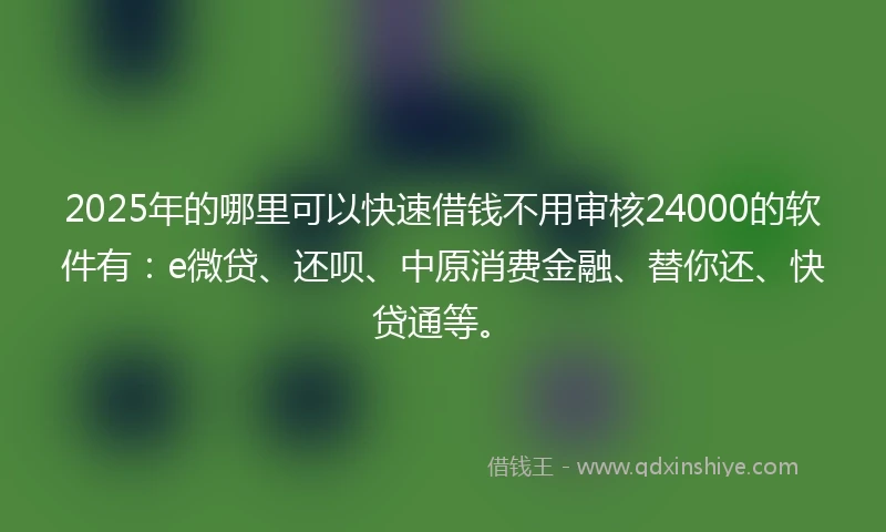 2025年的哪里可以快速借钱不用审核24000的软件有：e微贷、还呗、中原消费金融、替你还、快贷通等。