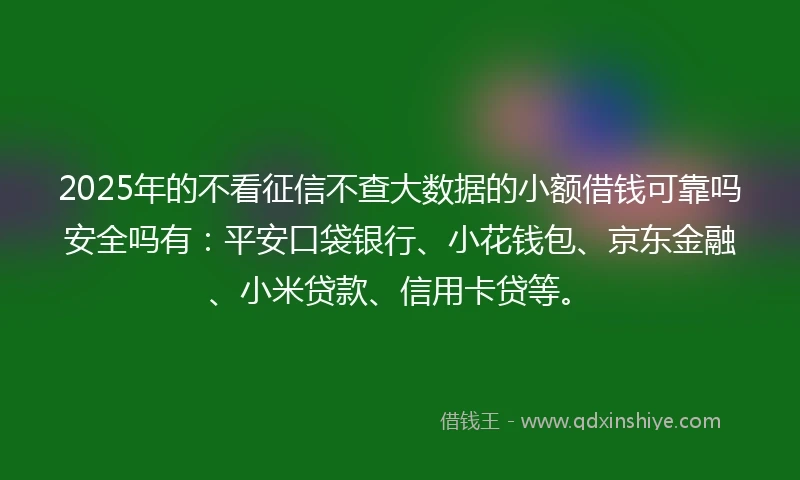 2025年的不看征信不查大数据的小额借钱可靠吗安全吗有：平安口袋银行、小花钱包、京东金融、小米贷款、信用卡贷等。