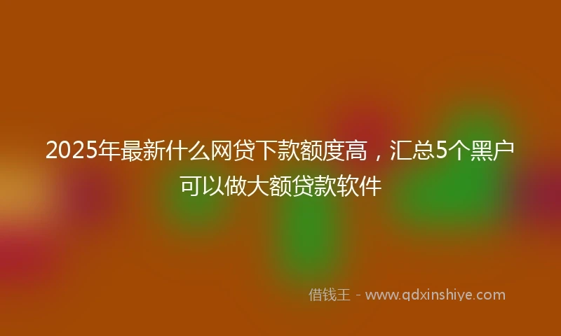 2025年最新什么网贷下款额度高，汇总5个黑户可以做大额贷款软件