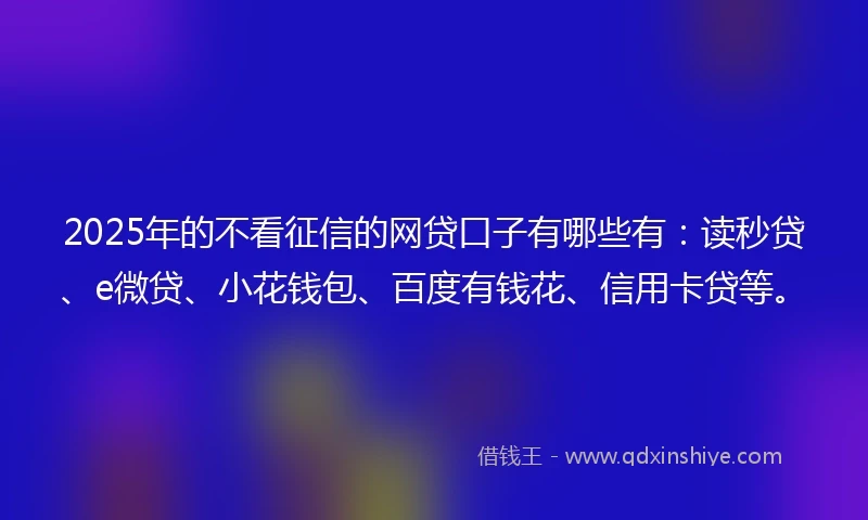 2025年的不看征信的网贷口子有哪些有：读秒贷、e微贷、小花钱包、百度有钱花、信用卡贷等。