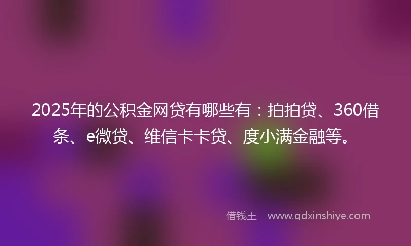 2025年的公积金网贷有哪些有：拍拍贷、360借条、e微贷、维信卡卡贷、度小满金融等。