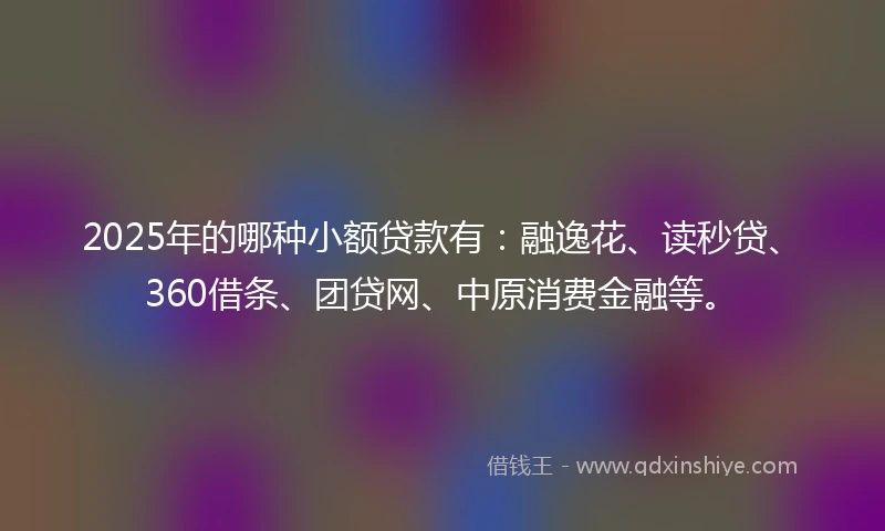 2025年的哪种小额贷款有：融逸花、读秒贷、360借条、团贷网、中原消费金融等。