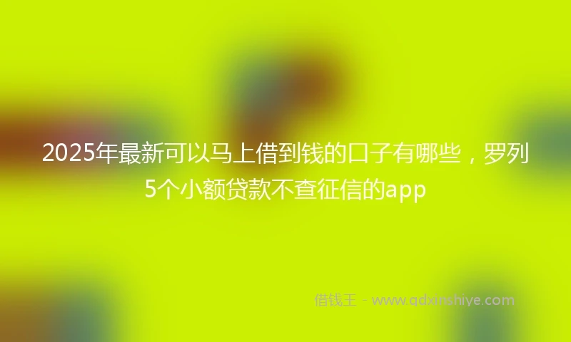 2025年最新可以马上借到钱的口子有哪些，罗列5个小额贷款不查征信的app