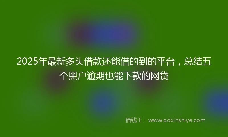 2025年最新多头借款还能借的到的平台,总结五个黑户逾期也能下款的网贷