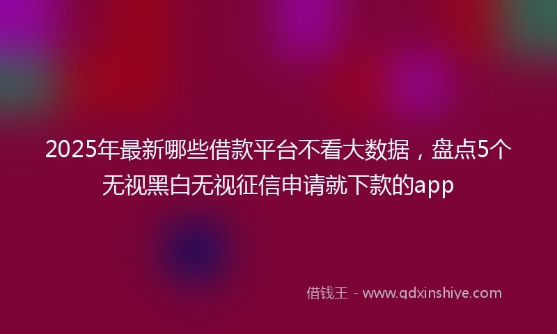 2025年最新哪些借款平台不看大数据，盘点5个无视黑白无视征信申请就下款的app