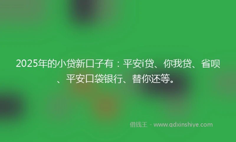 2025年的小贷新口子有：平安i贷、你我贷、省呗、平安口袋银行、替你还等。