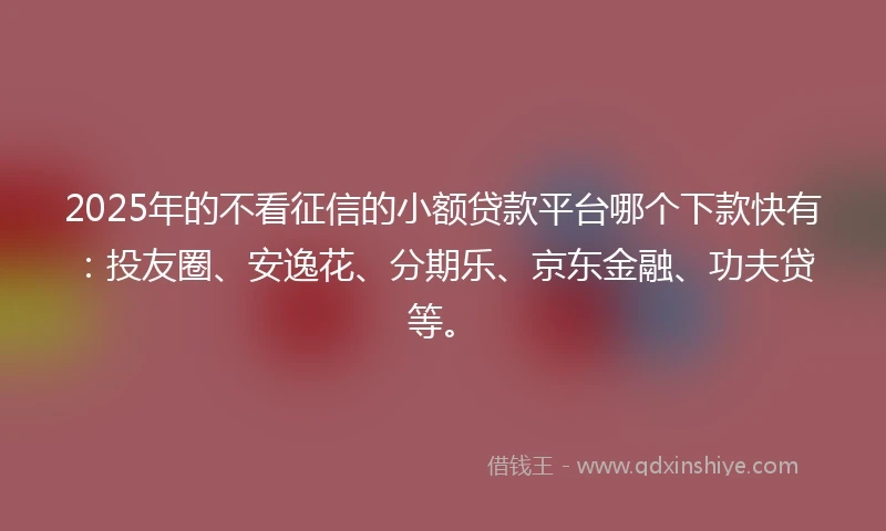 2025年的不看征信的小额贷款平台哪个下款快有：投友圈、安逸花、分期乐、京东金融、功夫贷等。