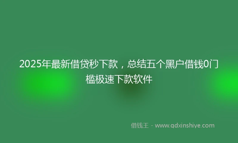 2025年最新借贷秒下款，总结五个黑户借钱0门槛极速下款软件