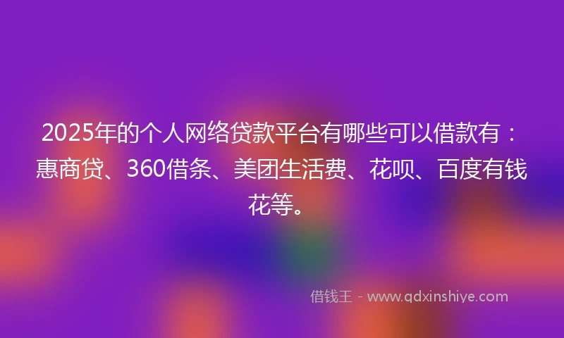 2025年的个人网络贷款平台有哪些可以借款有：惠商贷、360借条、美团生活费、花呗、百度有钱花等。