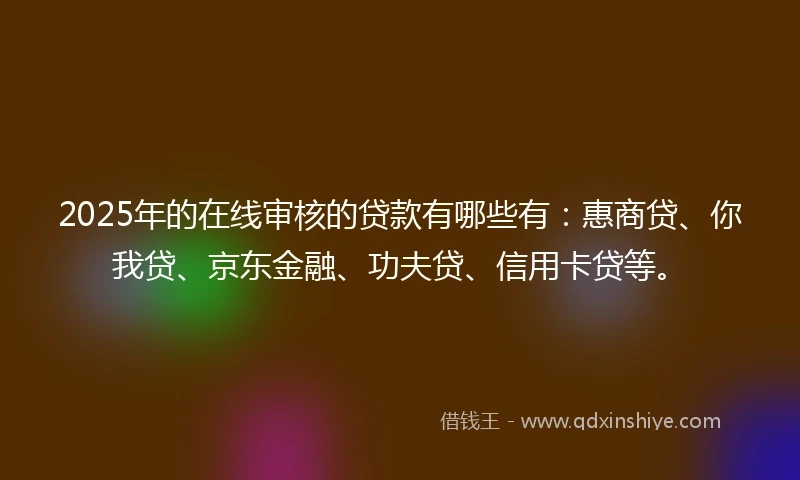 2025年的在线审核的贷款有哪些有：惠商贷、你我贷、京东金融、功夫贷、信用卡贷等。