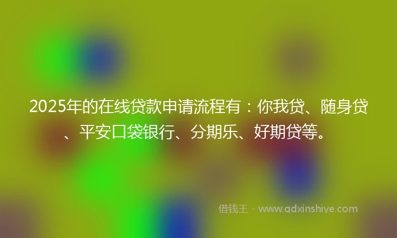 2025年的在线贷款申请流程有：你我贷、随身贷、平安口袋银行、分期乐、好期贷等。