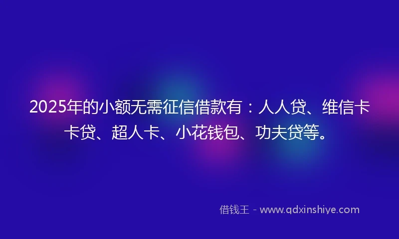 2025年的小额无需征信借款有：人人贷、维信卡卡贷、超人卡、小花钱包、功夫贷等。