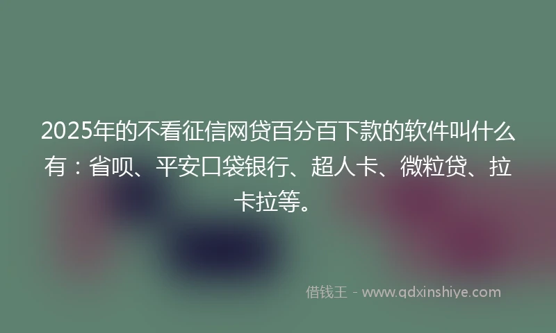 2025年的不看征信网贷百分百下款的软件叫什么有：省呗、平安口袋银行、超人卡、微粒贷、拉卡拉等。