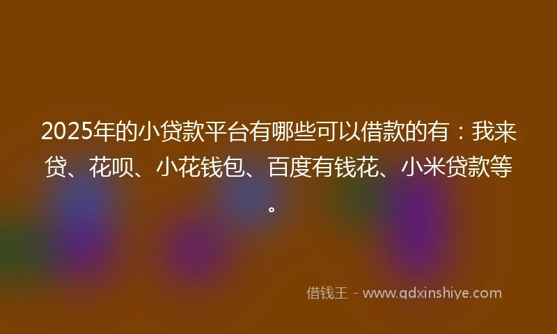 2025年的小贷款平台有哪些可以借款的有：我来贷、花呗、小花钱包、百度有钱花、小米贷款等。