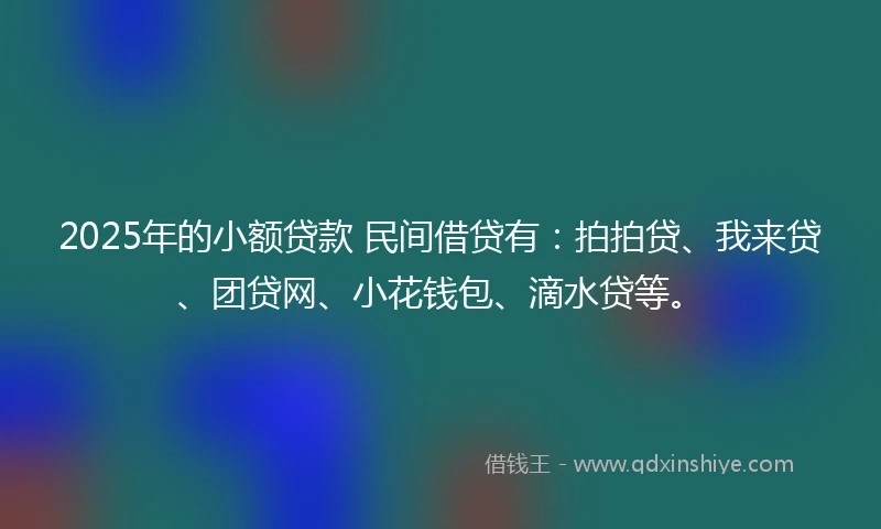 2025年的小额贷款 民间借贷有：拍拍贷、我来贷、团贷网、小花钱包、滴水贷等。
