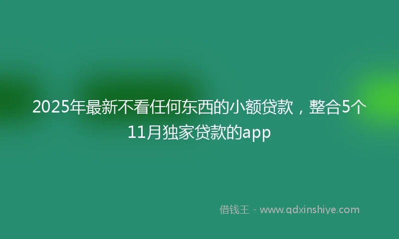 2025年最新不看任何东西的小额贷款，整合5个11月独家贷款的app