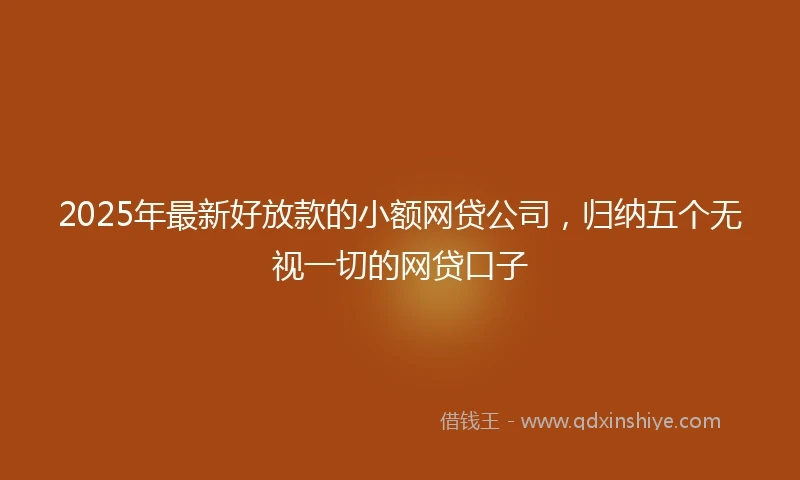 2025年最新好放款的小额网贷公司，归纳五个无视一切的网贷口子