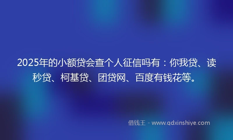 2025年的小额贷会查个人征信吗有：你我贷、读秒贷、柯基贷、团贷网、百度有钱花等。