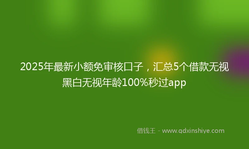 2025年最新小额免审核口子，汇总5个借款无视黑白无视年龄100%秒过app