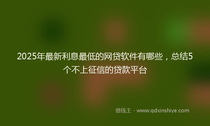 2025年最新利息最低的网贷软件有哪些，总结5个不上征信的贷款平台