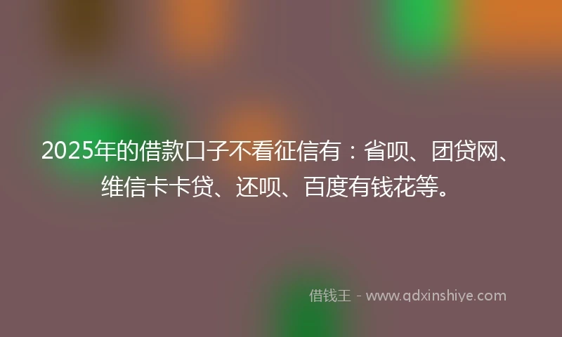 2025年的借款口子不看征信有：省呗、团贷网、维信卡卡贷、还呗、百度有钱花等。