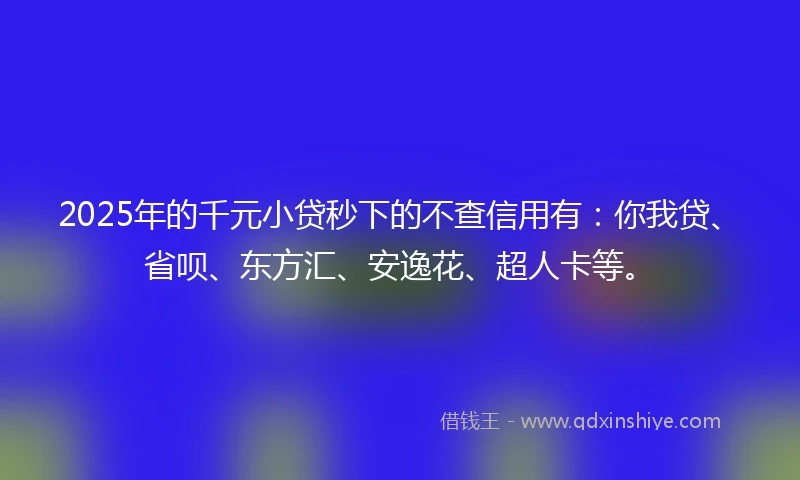 2025年的千元小贷秒下的不查信用有：你我贷、省呗、东方汇、安逸花、超人卡等。