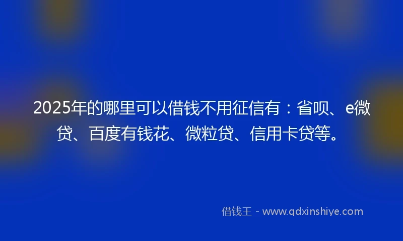 2025年的哪里可以借钱不用征信有：省呗、e微贷、百度有钱花、微粒贷、信用卡贷等。
