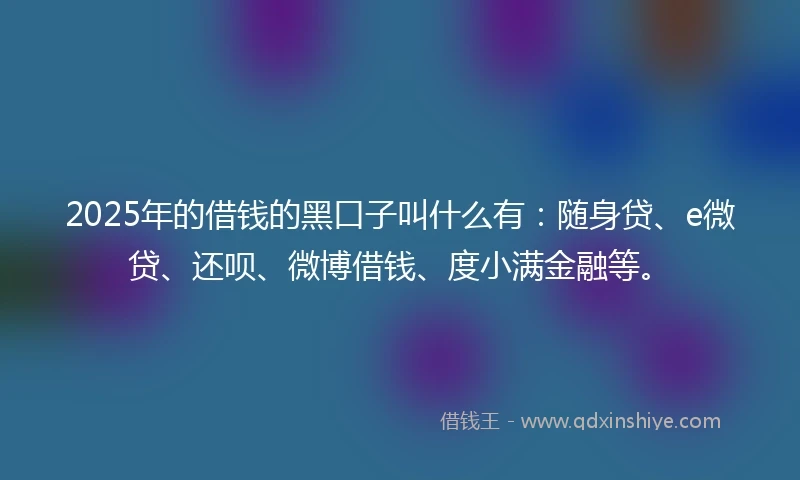 2025年的借钱的黑口子叫什么有：随身贷、e微贷、还呗、微博借钱、度小满金融等。