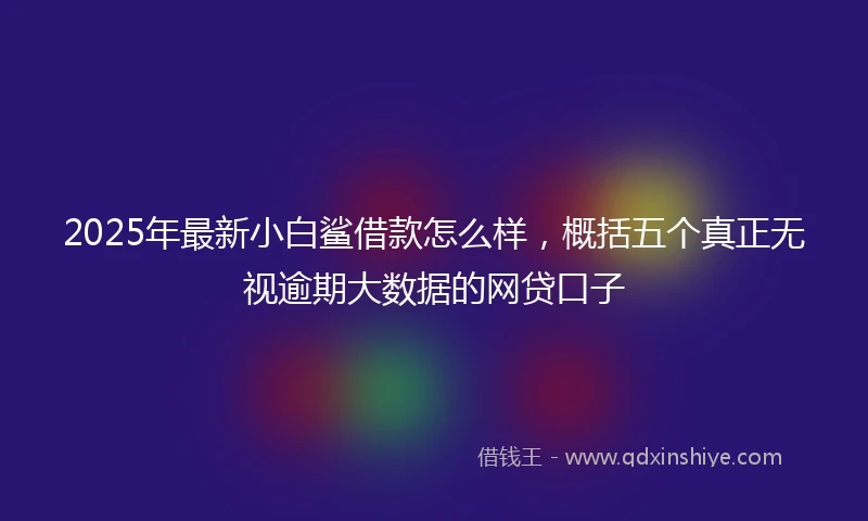 2025年最新小白鲨借款怎么样，概括五个真正无视逾期大数据的网贷口子